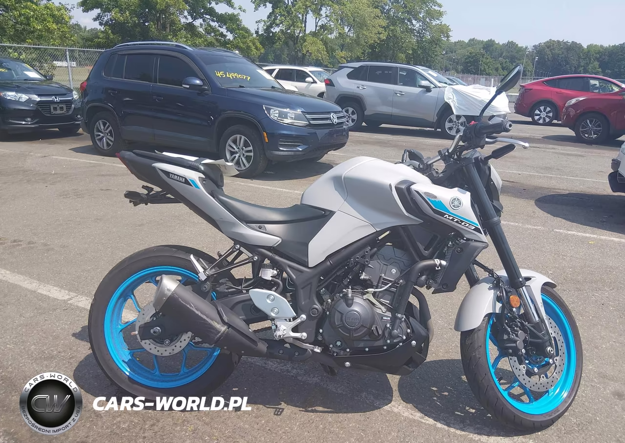 2025 Yamaha Mtn320 A VIN:MH3RH28E8SK001630 - 12