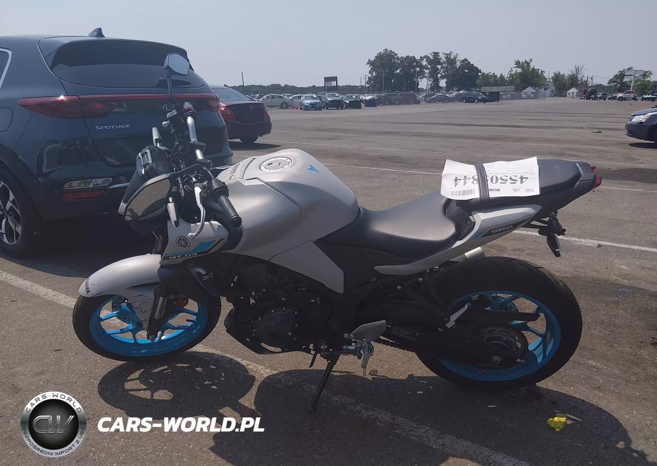 2025 Yamaha Mtn320 A VIN:MH3RH28E8SK001630 - 13
