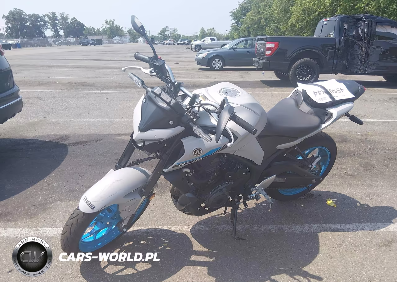 2025 Yamaha Mtn320 A VIN:MH3RH28E8SK001630 - 2