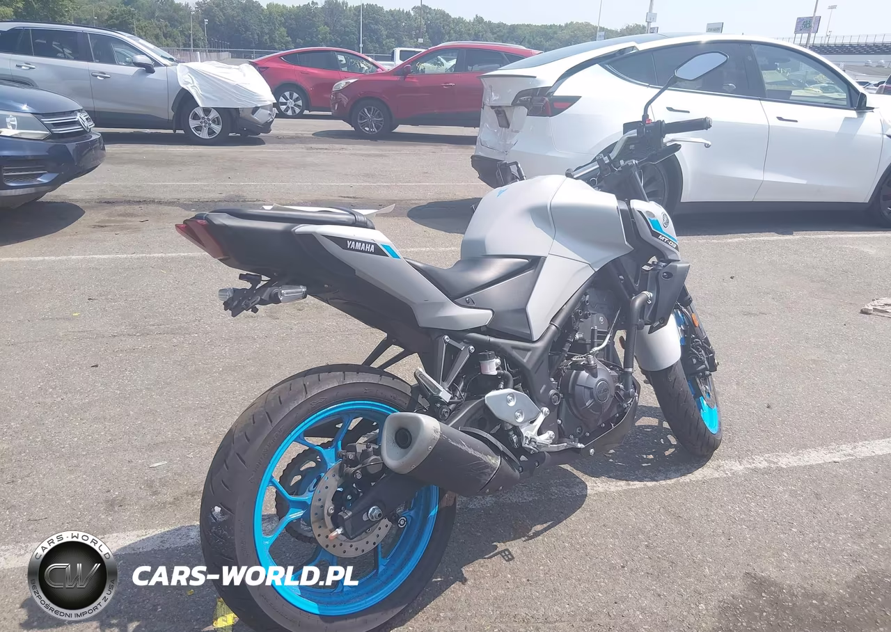 2025 Yamaha Mtn320 A VIN:MH3RH28E8SK001630 - 4