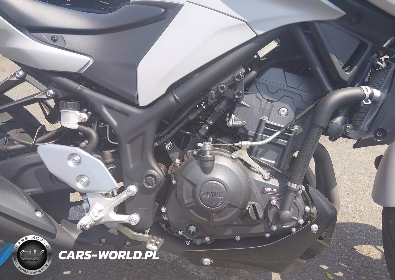 2025 Yamaha Mtn320 A VIN:MH3RH28E8SK001630 - 8