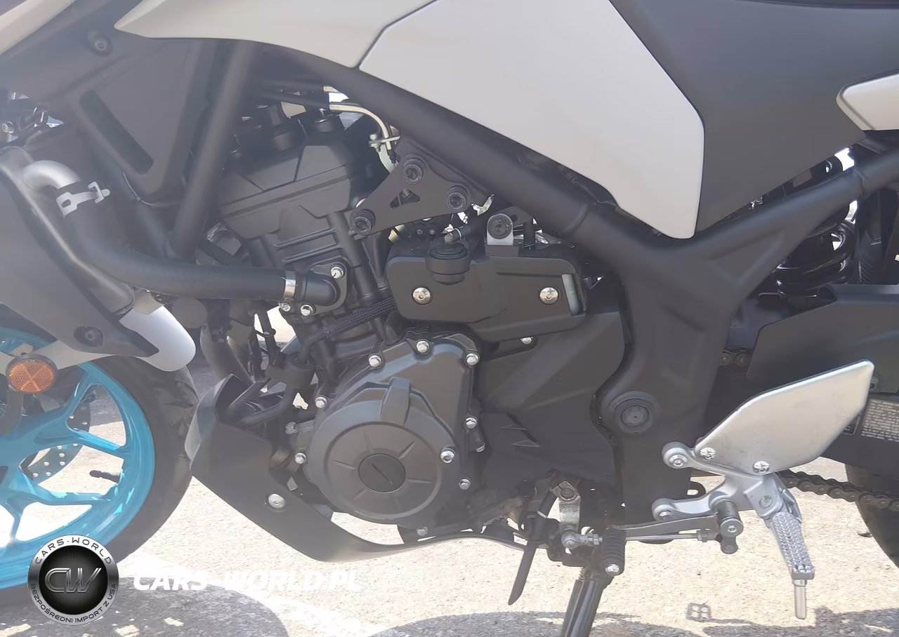 2025 Yamaha Mtn320 A VIN:MH3RH28E8SK001630 - 9