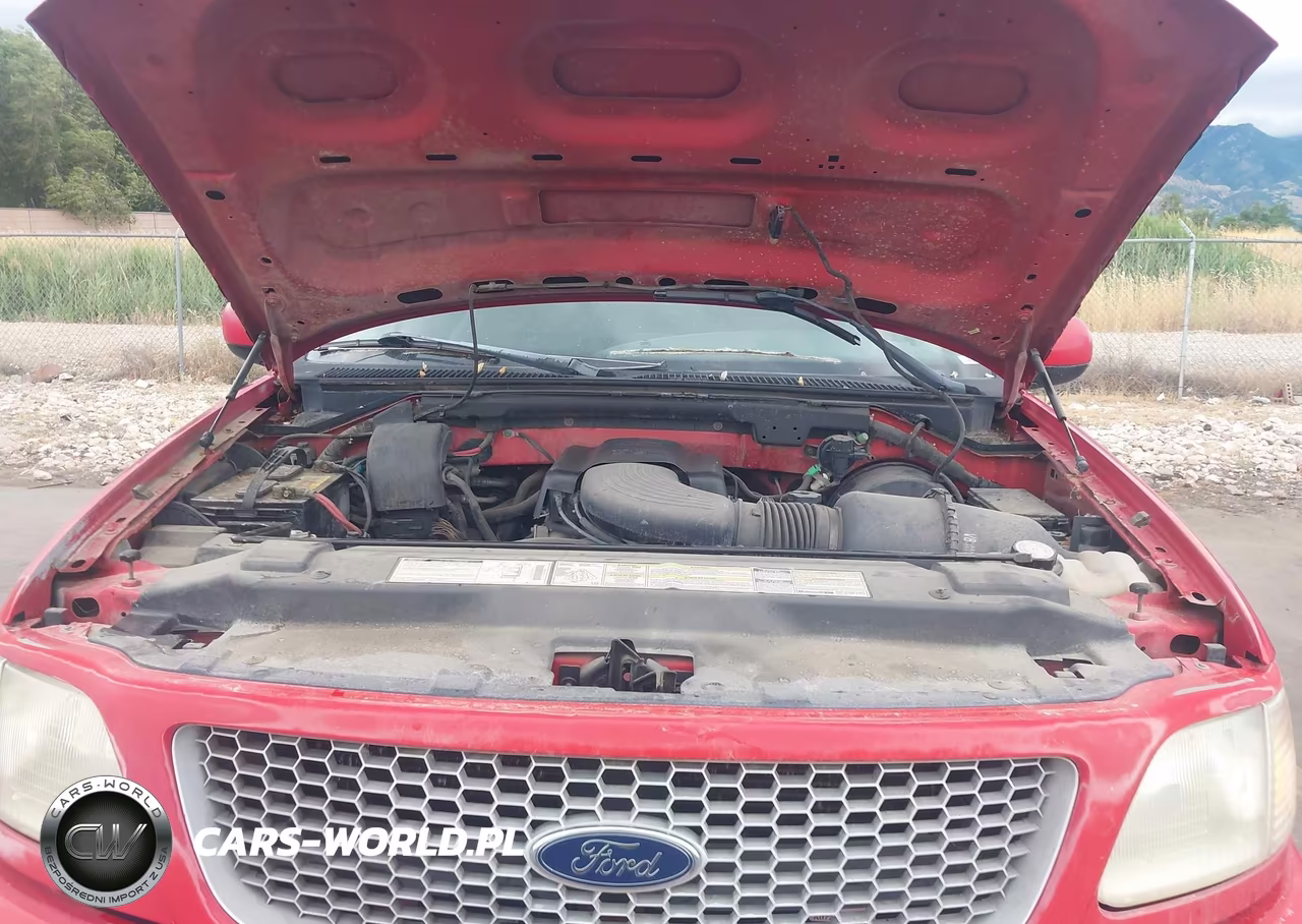 1999 Ford F-150 Lariat-Work Series-Xl-Xlt VIN:1FTRX18W5XKA07249 - 10