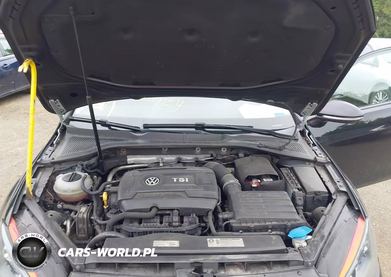 2017 Volkswagen Golf Tsi S 4-Door-Tsi Se 4-Door-Tsi Sel 4-Door-Tsi Wolfsburg Edition 4-Door VIN:3VW217AU2HM037640 - 10