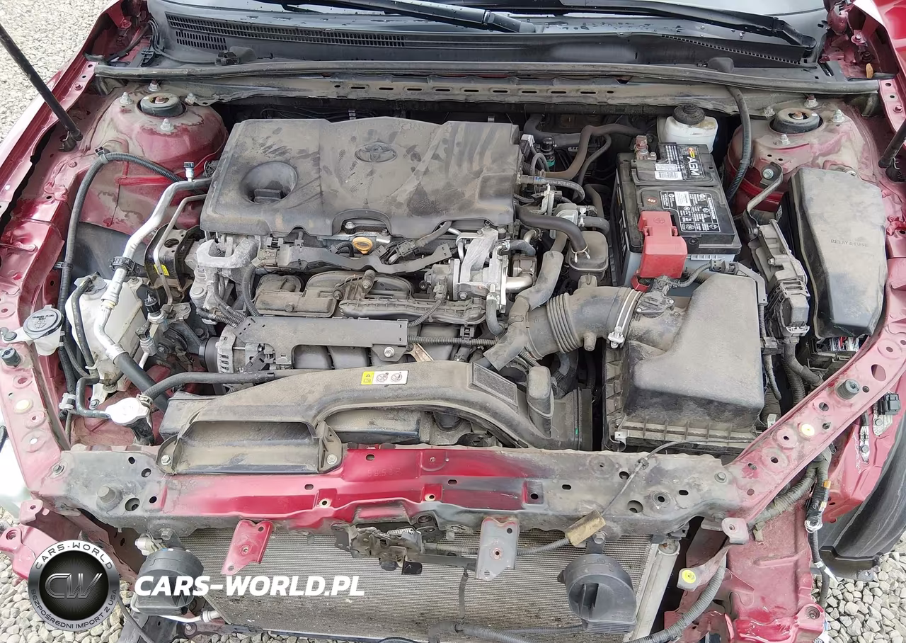 2019 Toyota Camry Le VIN:4T1B11HK1KU717693 - 10