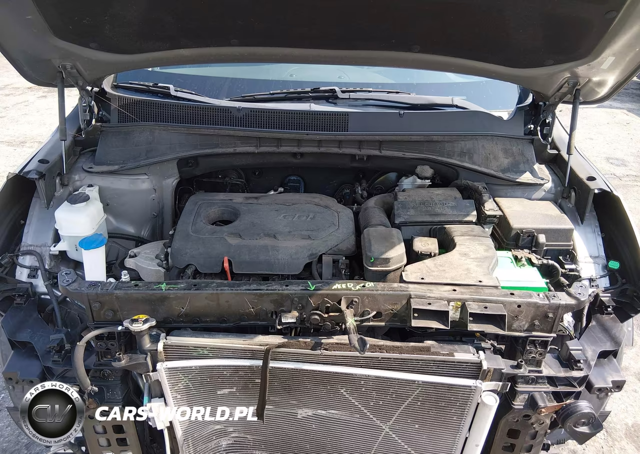 2019 Kia Sorento 2.4L Lx VIN:5XYPG4A32KG519770 - 10