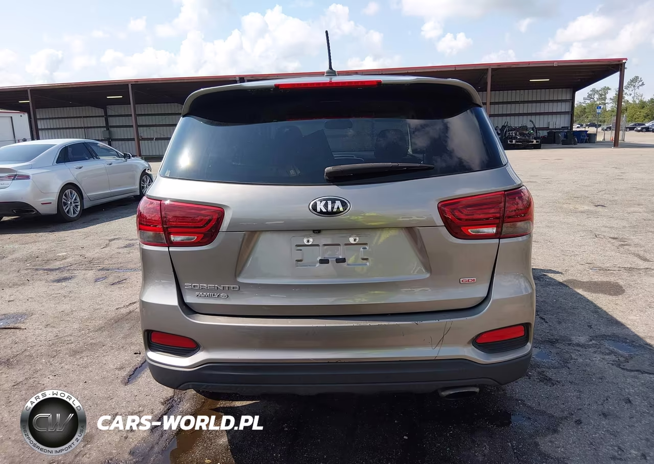 2019 Kia Sorento 2.4L Lx VIN:5XYPG4A32KG519770 - 17