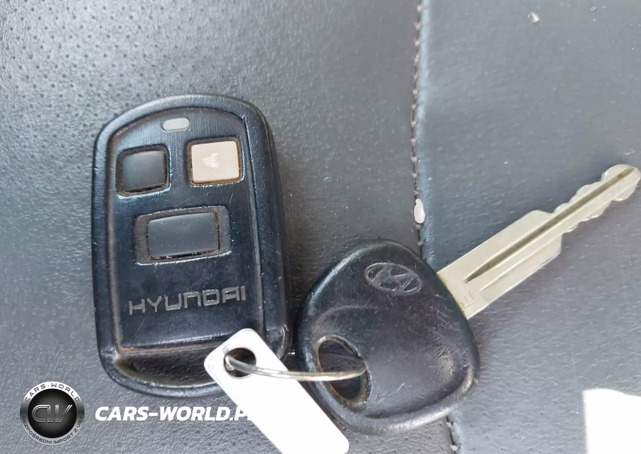 2003 Hyundai Santa Fe Gls-Lx VIN:KM8SC73EX3U543137 - 11