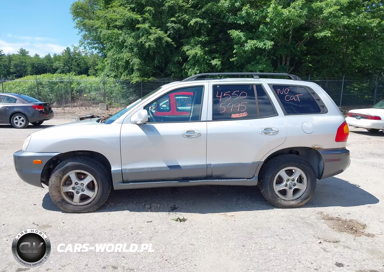 2003 Hyundai Santa Fe Gls-Lx VIN:KM8SC73EX3U543137 - 12