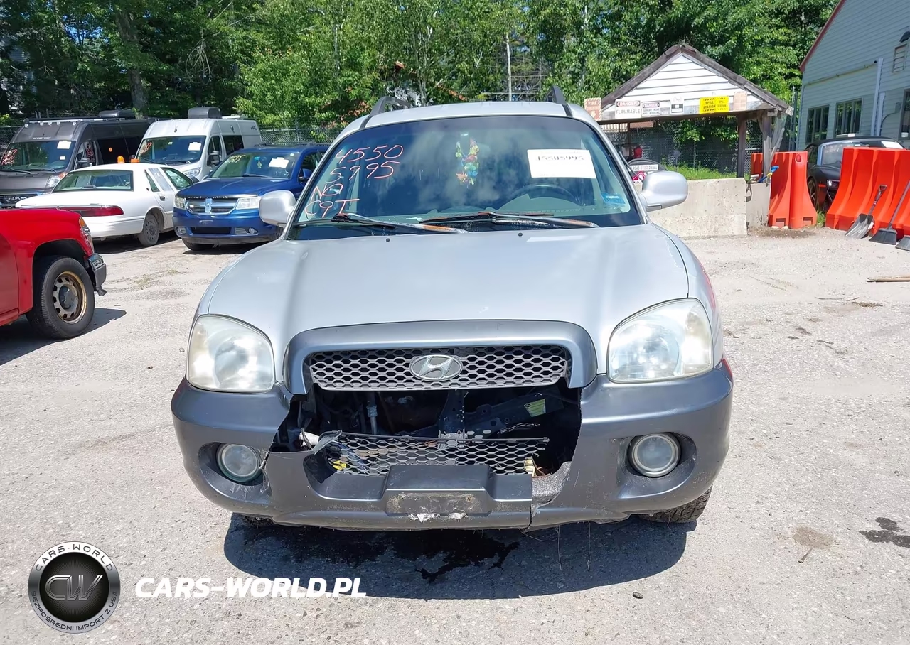 2003 Hyundai Santa Fe Gls-Lx VIN:KM8SC73EX3U543137 - 13