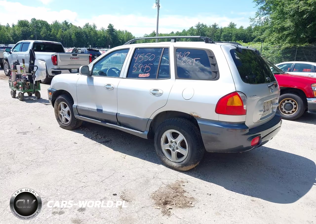 2003 Hyundai Santa Fe Gls-Lx VIN:KM8SC73EX3U543137 - 3