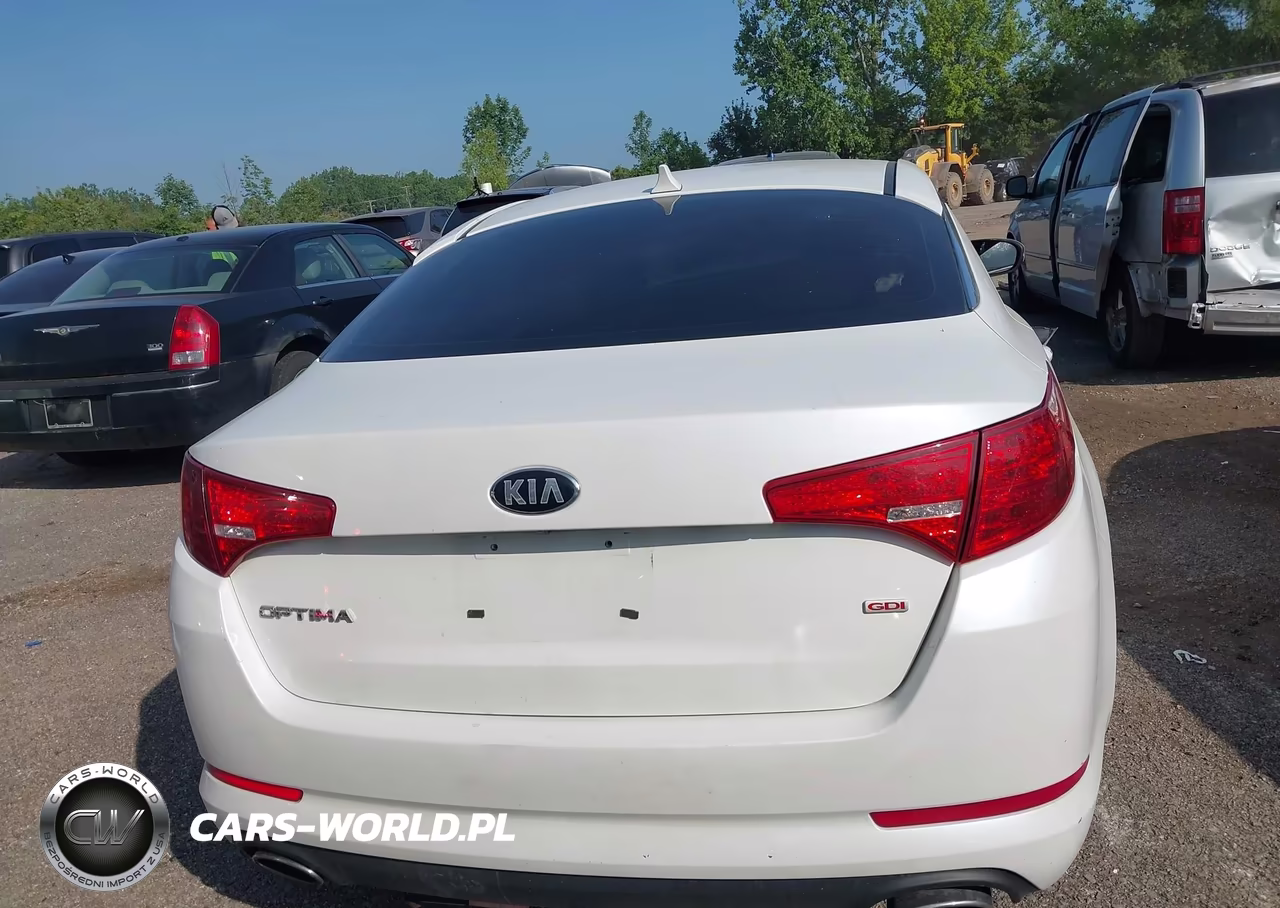 2013 Kia Optima Lx VIN:KNAGM4A7XD5441405 - 17