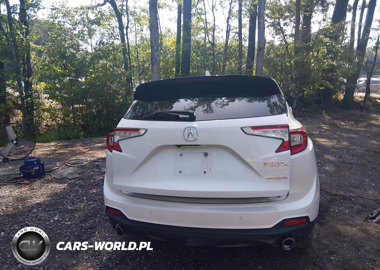 2019 Acura Rdx Technology Package VIN:5J8TC2H55KL021087 - 17