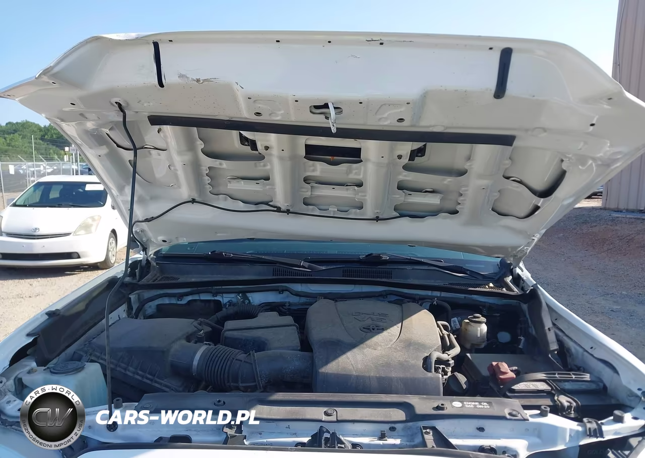 2019 Toyota Tacoma Trd Sport VIN:3TMAZ5CN9KM093065 - 10