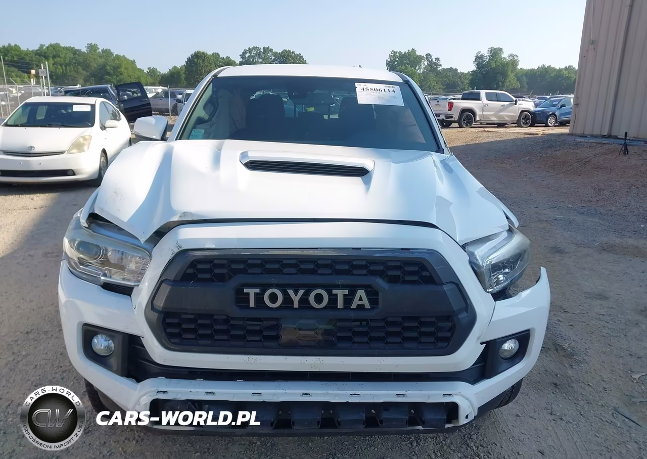 2019 Toyota Tacoma Trd Sport VIN:3TMAZ5CN9KM093065 - 12
