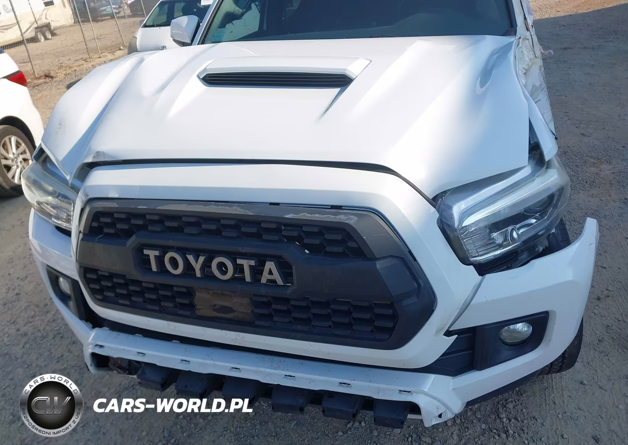 2019 Toyota Tacoma Trd Sport VIN:3TMAZ5CN9KM093065 - 19