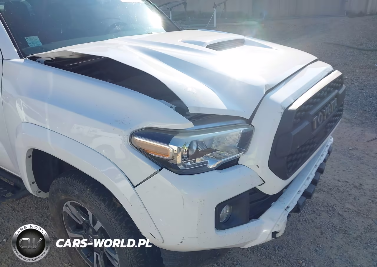 2019 Toyota Tacoma Trd Sport VIN:3TMAZ5CN9KM093065 - 20