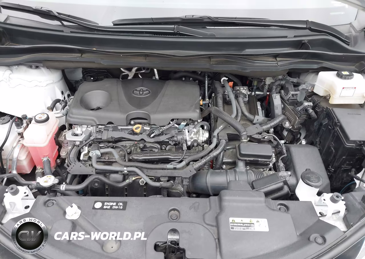 2024 Toyota Sienna Xle VIN:5TDYRKEC3RS181113 - 10