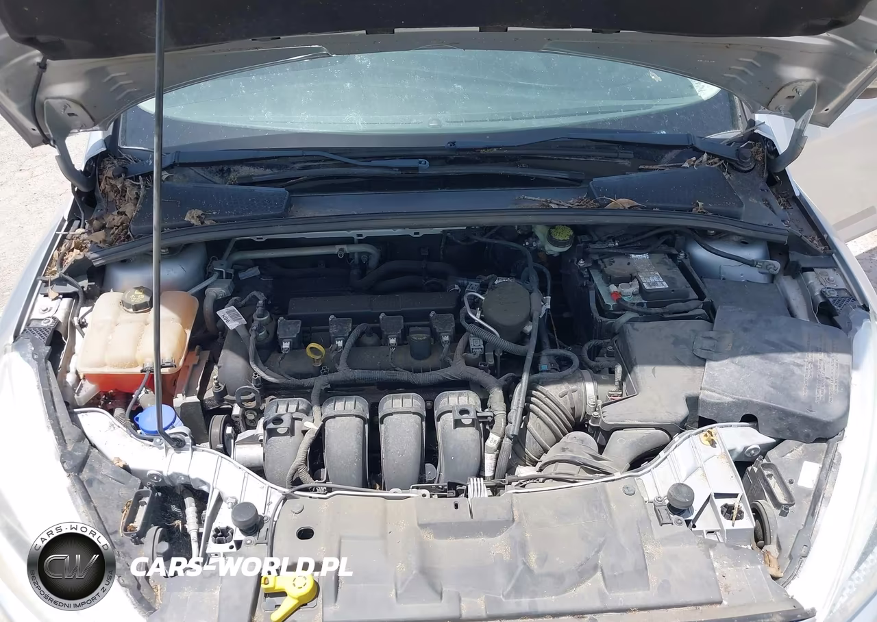 2016 Ford Focus Se VIN:1FADP3F2XGL281438 - 10