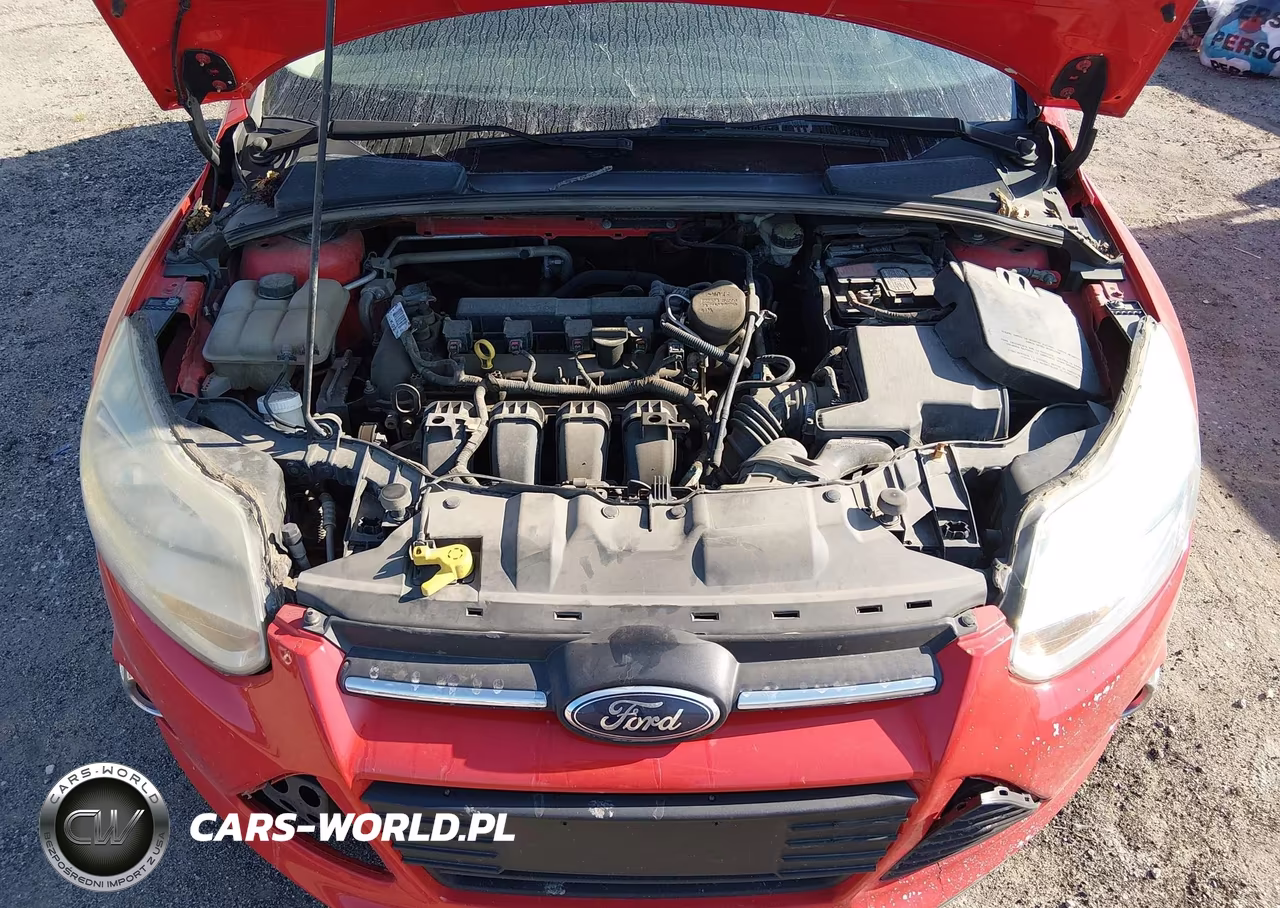 2014 Ford Focus Se VIN:1FADP3K2XEL175641 - 10