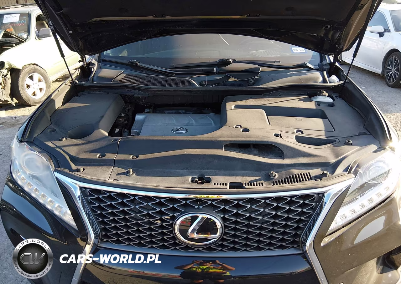 2014 Lexus Rx 350 F Sport VIN:2T2BK1BA8EC231333 - 10