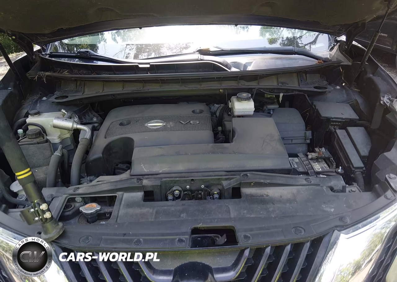2015 Nissan Murano Platinum VIN:5N1AZ2MH3FN264343 - 10