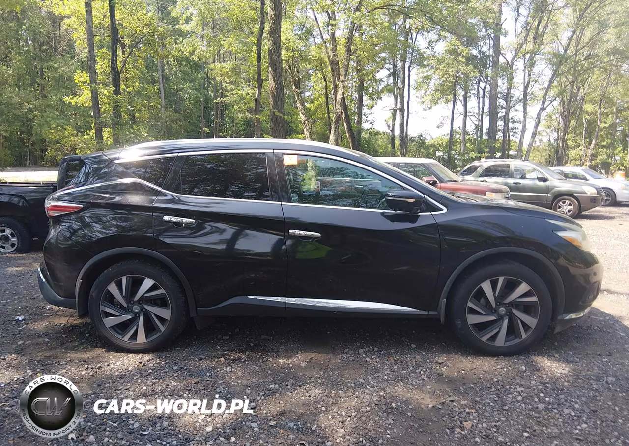 2015 Nissan Murano Platinum VIN:5N1AZ2MH3FN264343 - 13