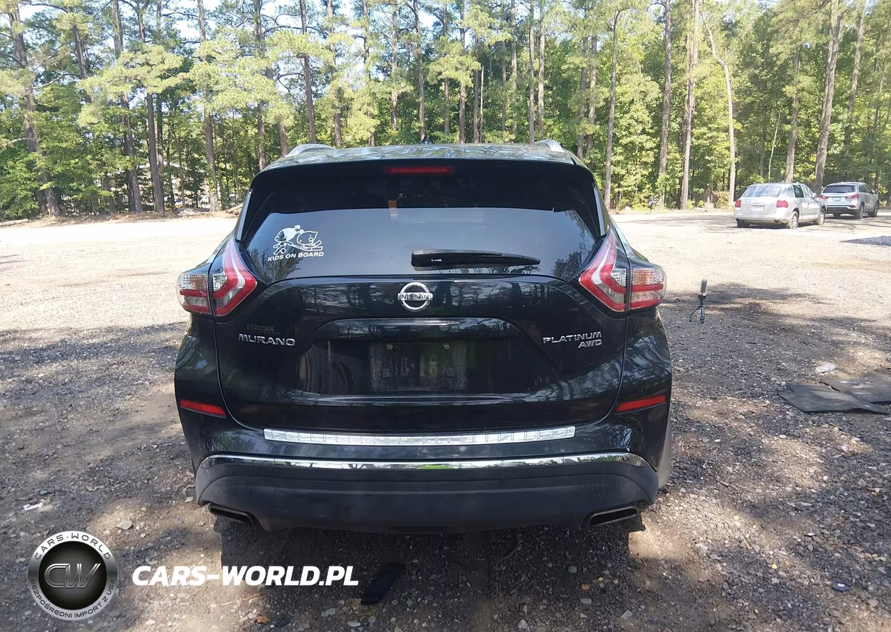 2015 Nissan Murano Platinum VIN:5N1AZ2MH3FN264343 - 16