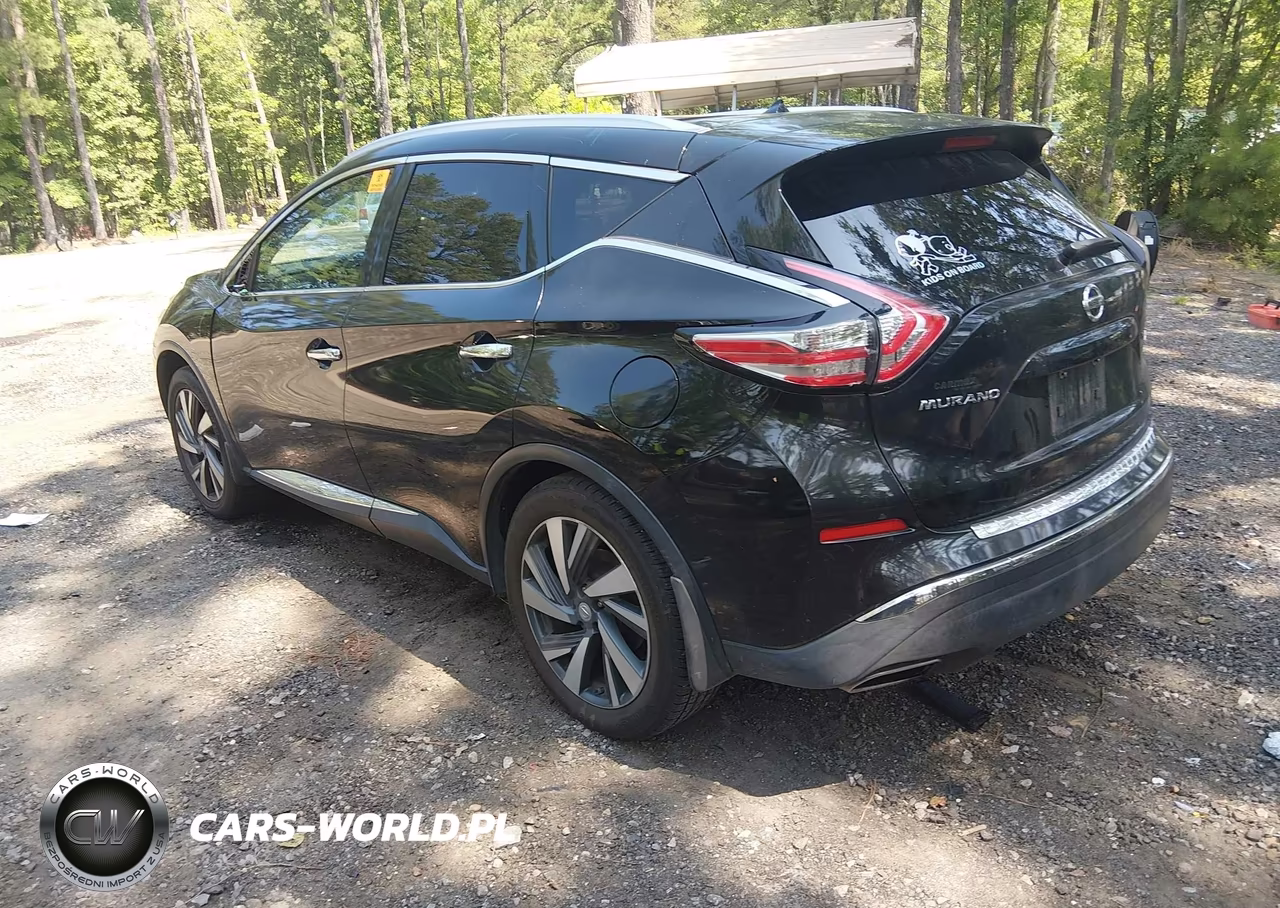 2015 Nissan Murano Platinum VIN:5N1AZ2MH3FN264343 - 3