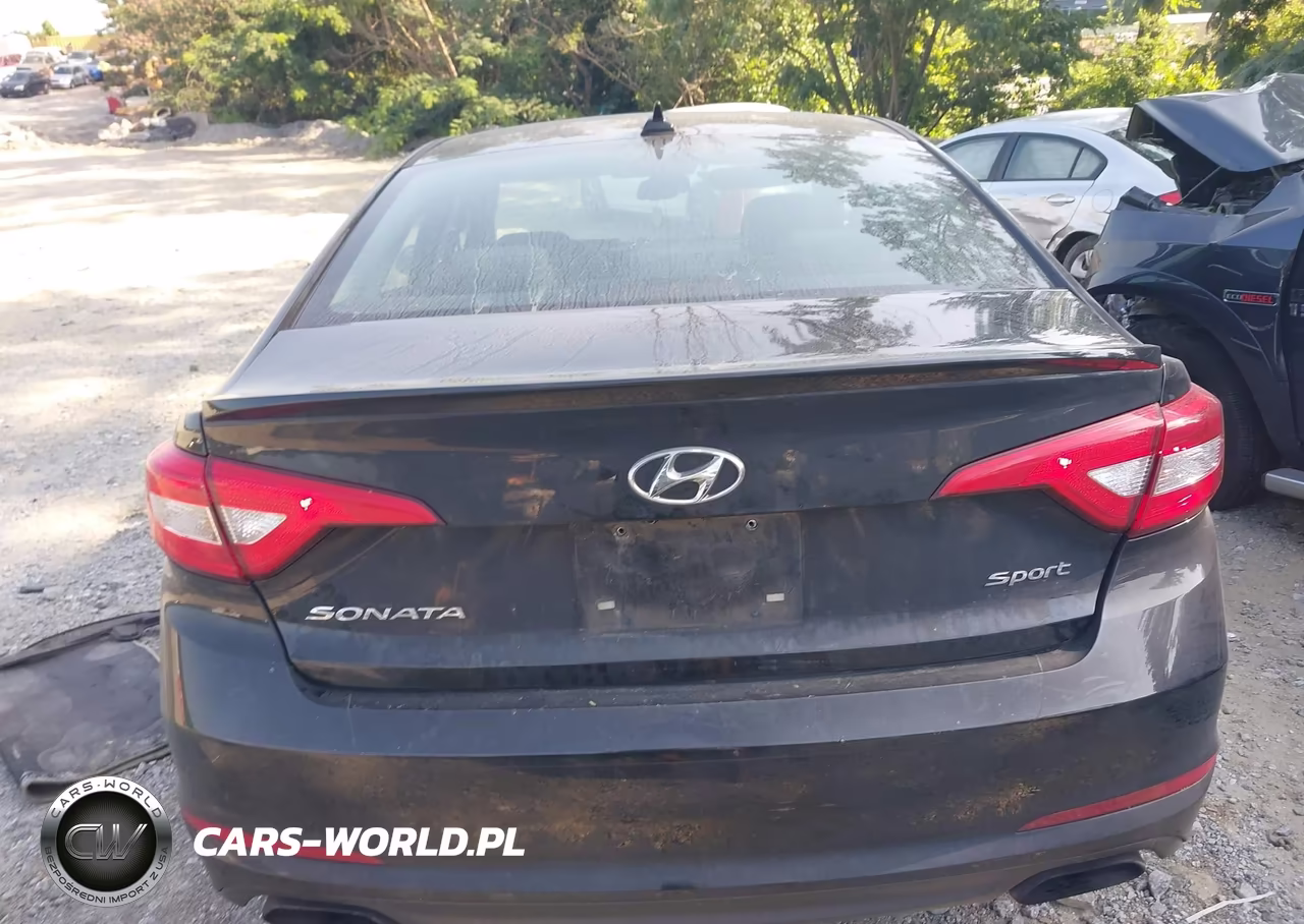 2017 Hyundai Sonata Sport VIN:5NPE34AF9HH572139 - 16