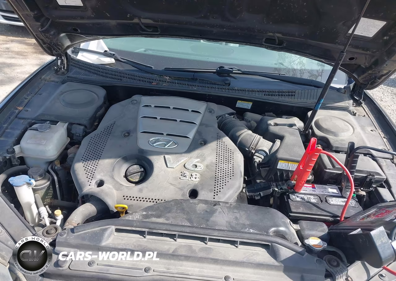 2006 Hyundai Azera Limited-Se VIN:KMHFC46F66A100218 - 10