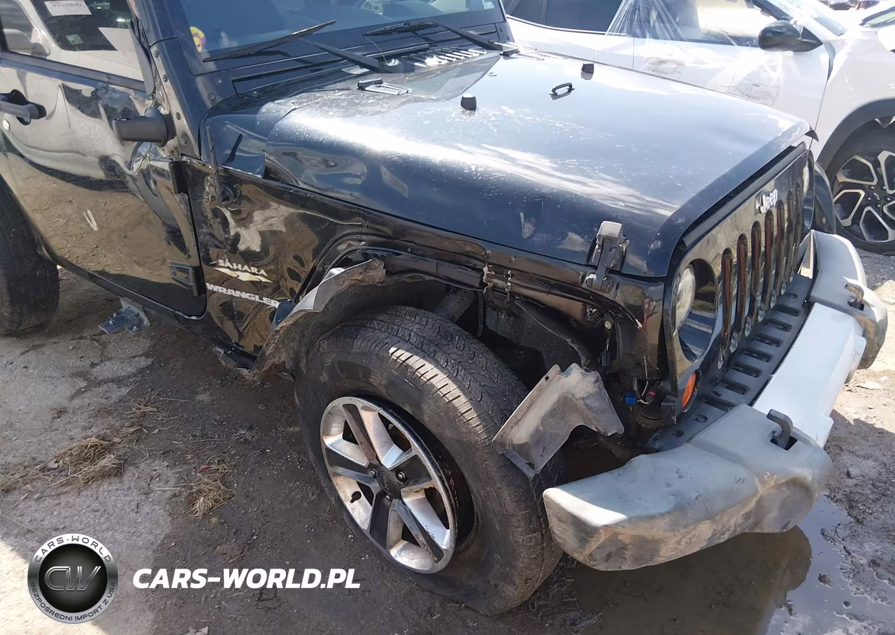 2009 Jeep Wrangler Sahara VIN:1J4FA54129L722440 - 6