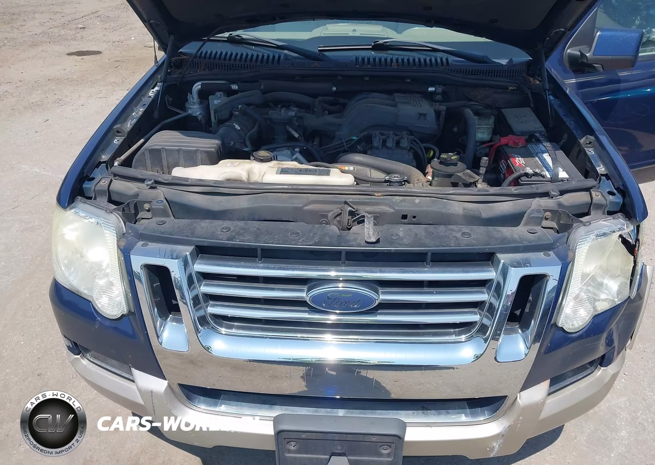 2007 Ford Explorer Eddie Bauer VIN:1FMEU74E77UB57306 - 10