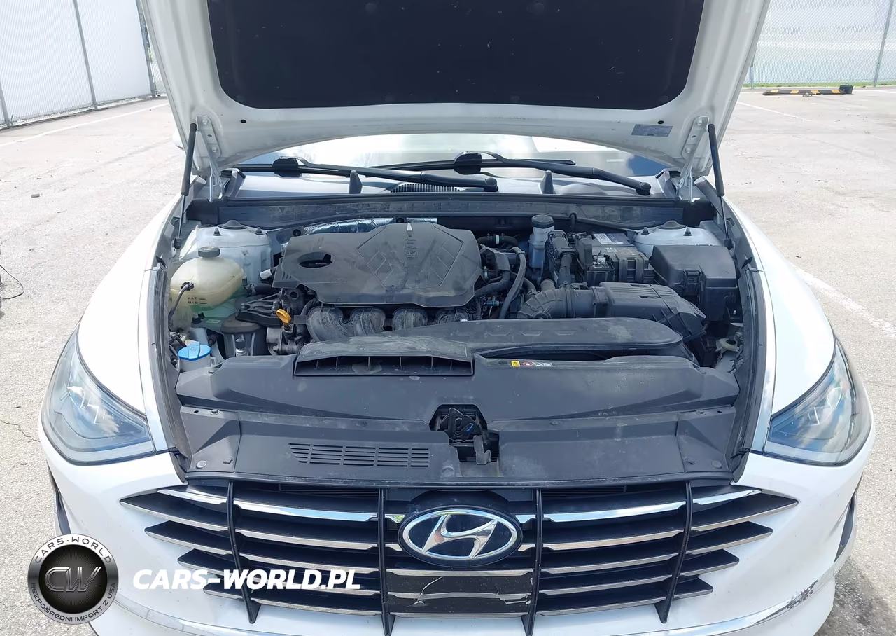 2020 Hyundai Sonata Se VIN:5NPEG4JA0LH001656 - 10