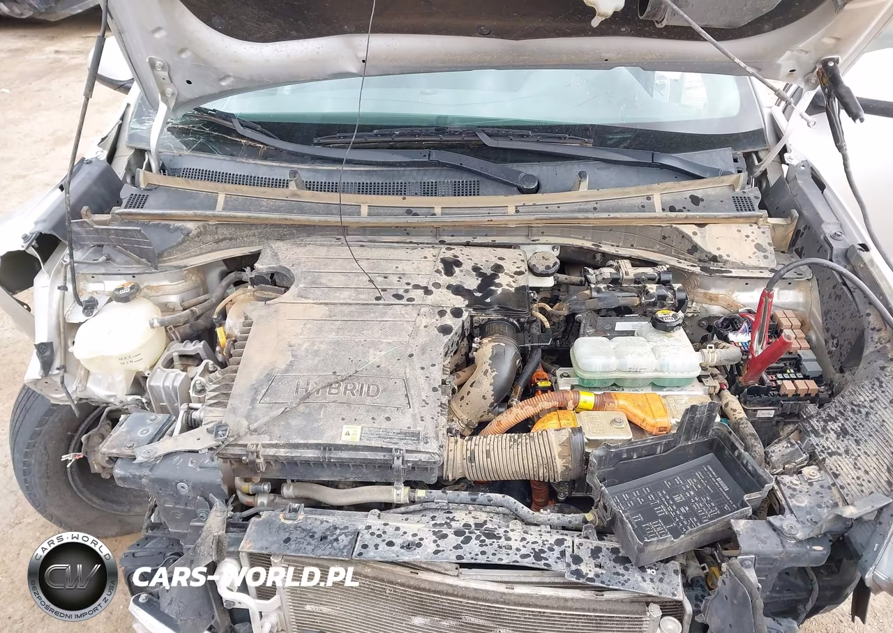 2019 Kia Niro Lx VIN:KNDCB3LC6K5351886 - 10