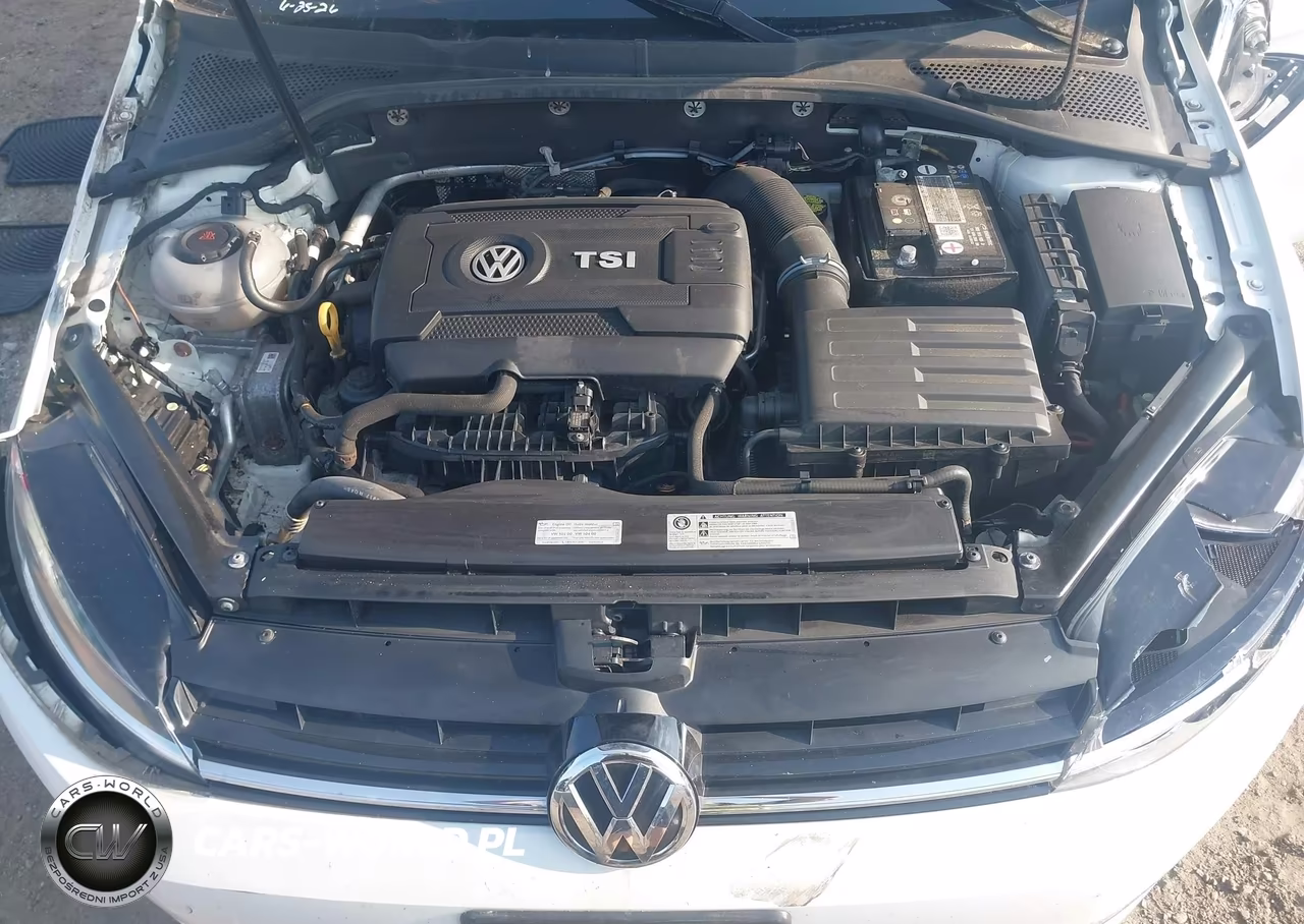 2018 Volkswagen Golf Tsi S-Tsi Se VIN:3VWG17AU4JM252089 - 10