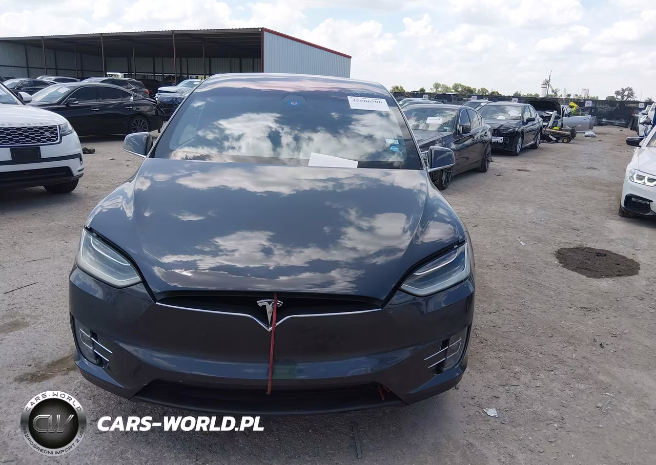 2018 Tesla Model X 100D-75D-P100D VIN:5YJXCDE26JF115647 - 10