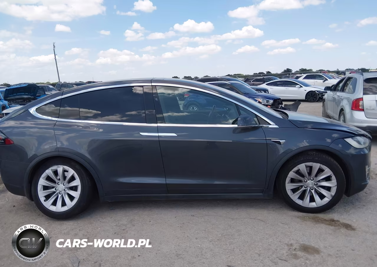 2018 Tesla Model X 100D-75D-P100D VIN:5YJXCDE26JF115647 - 11