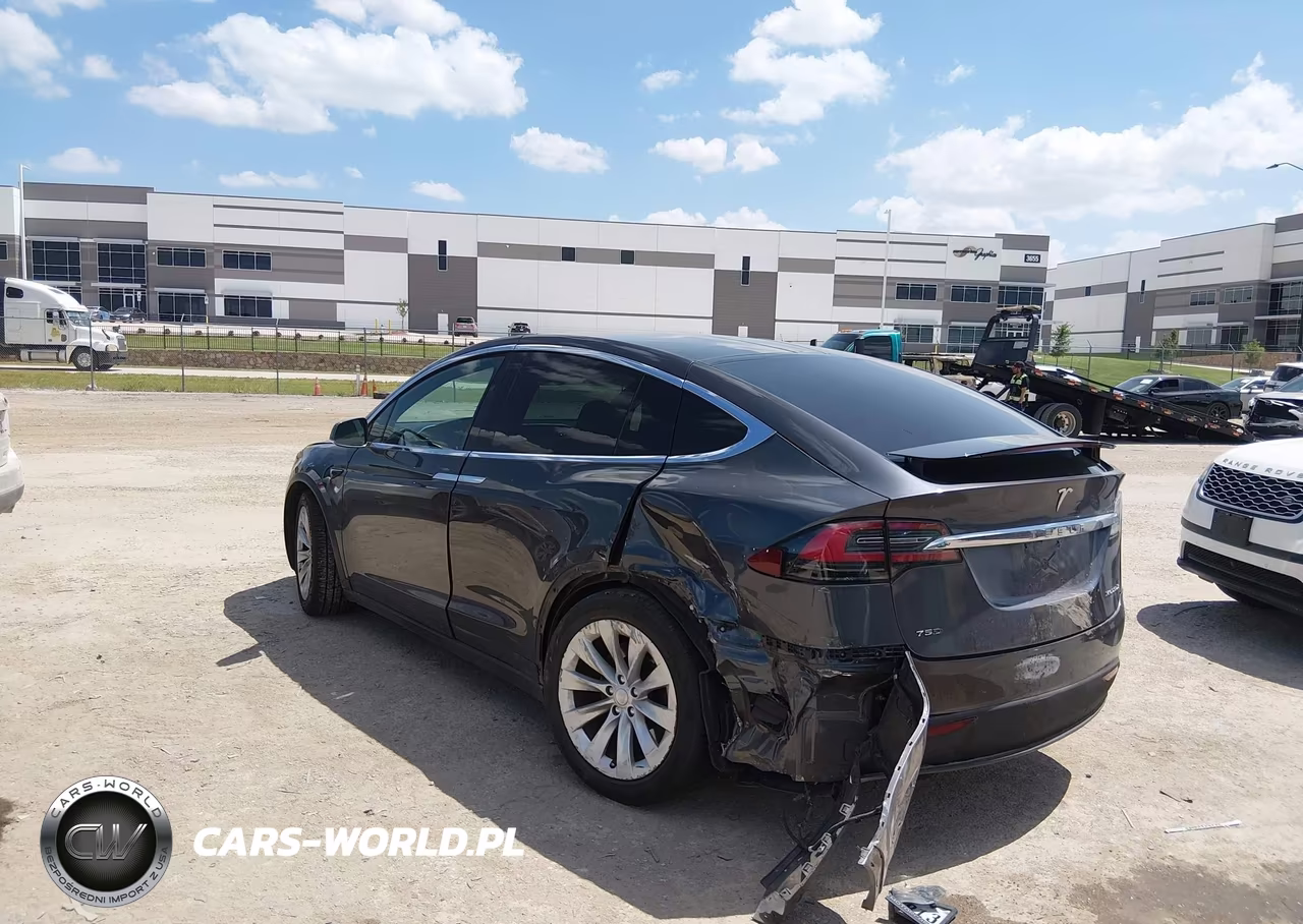 2018 Tesla Model X 100D-75D-P100D VIN:5YJXCDE26JF115647 - 3