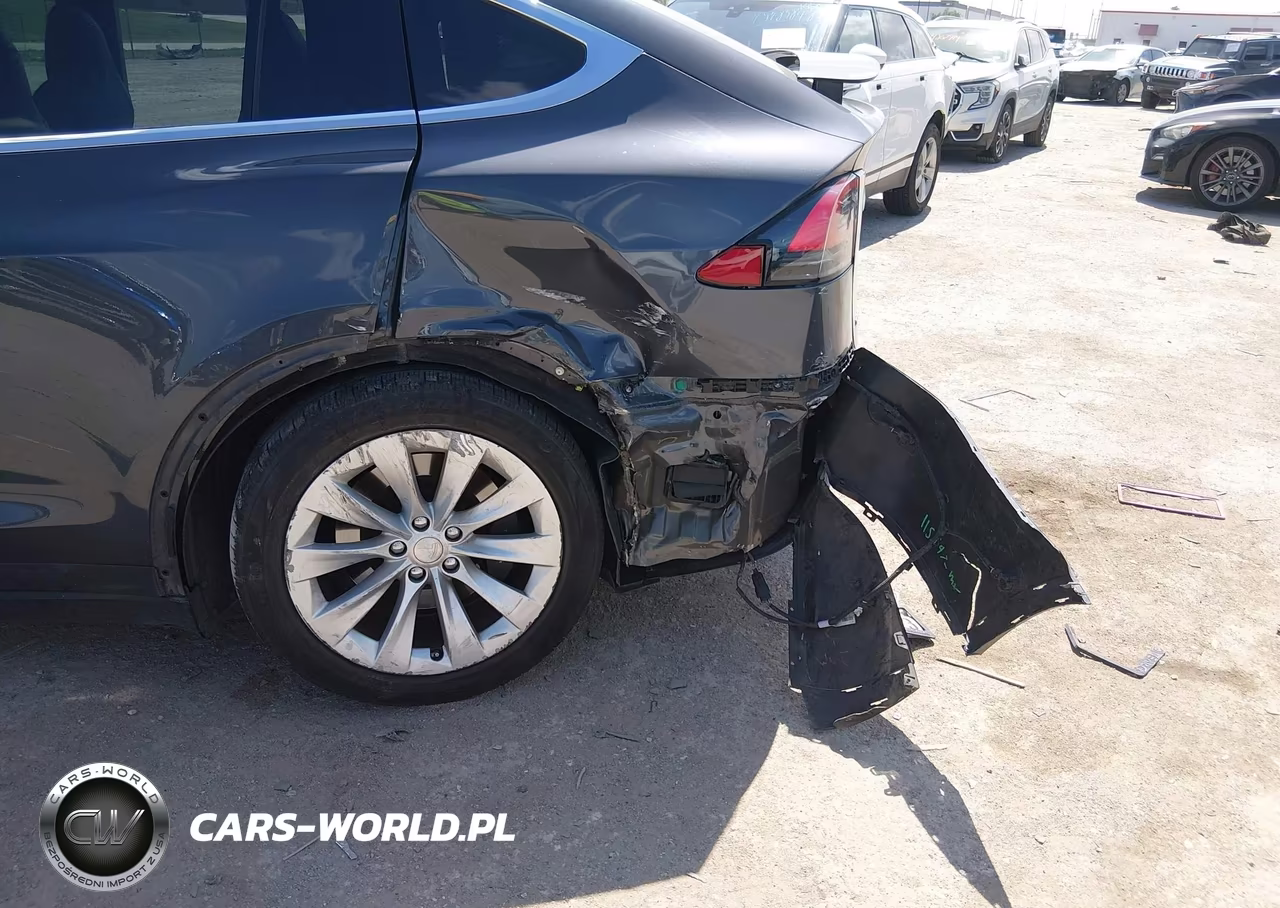 2018 Tesla Model X 100D-75D-P100D VIN:5YJXCDE26JF115647 - 6