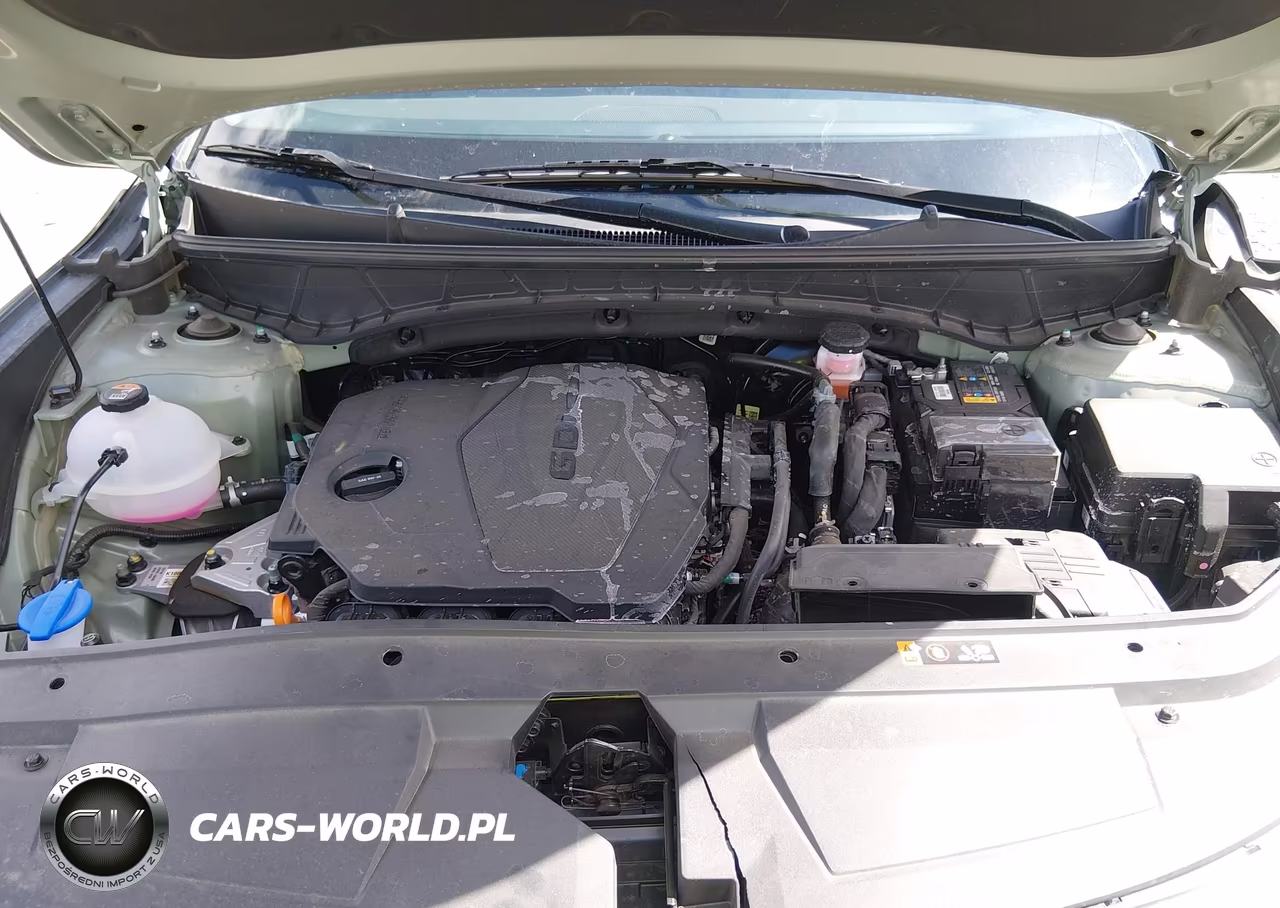 2024 Hyundai Santa Cruz Sel VIN:5NTJCDDE7RH115527 - 10