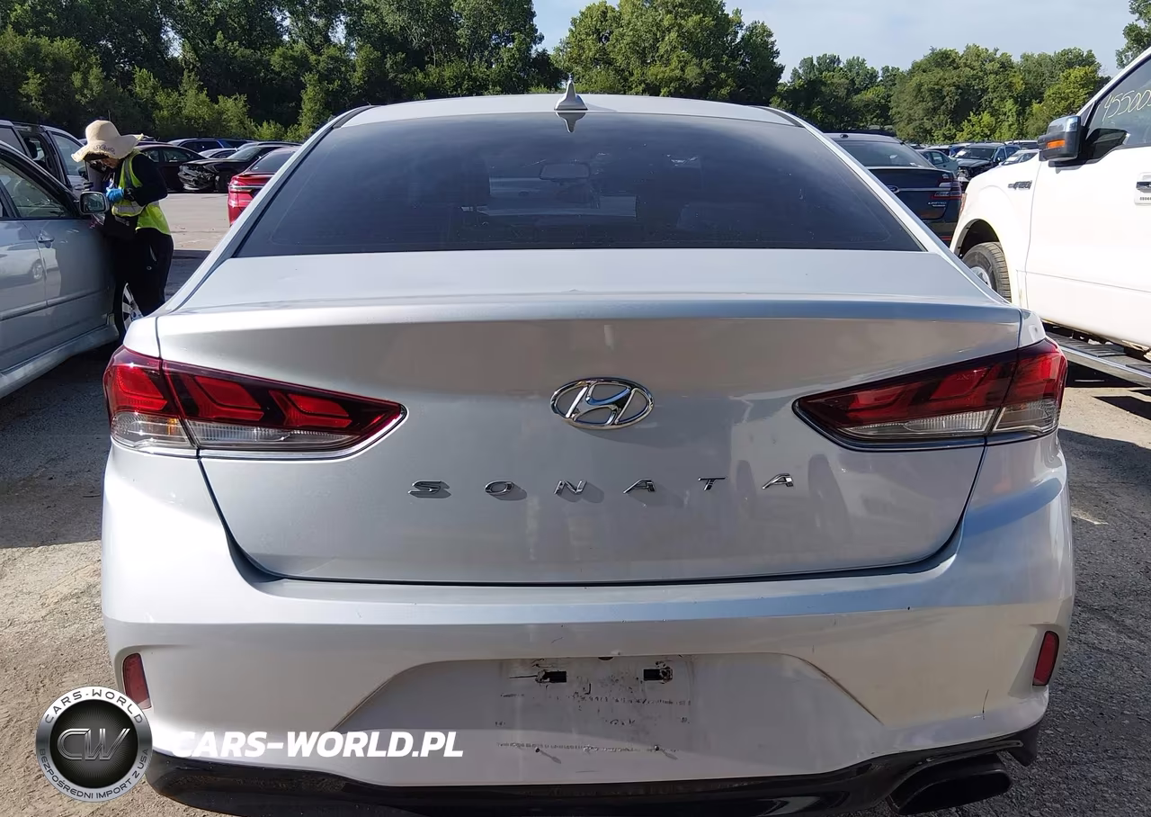 2019 Hyundai Sonata Sel VIN:5NPE34AF7KH788093 - 17