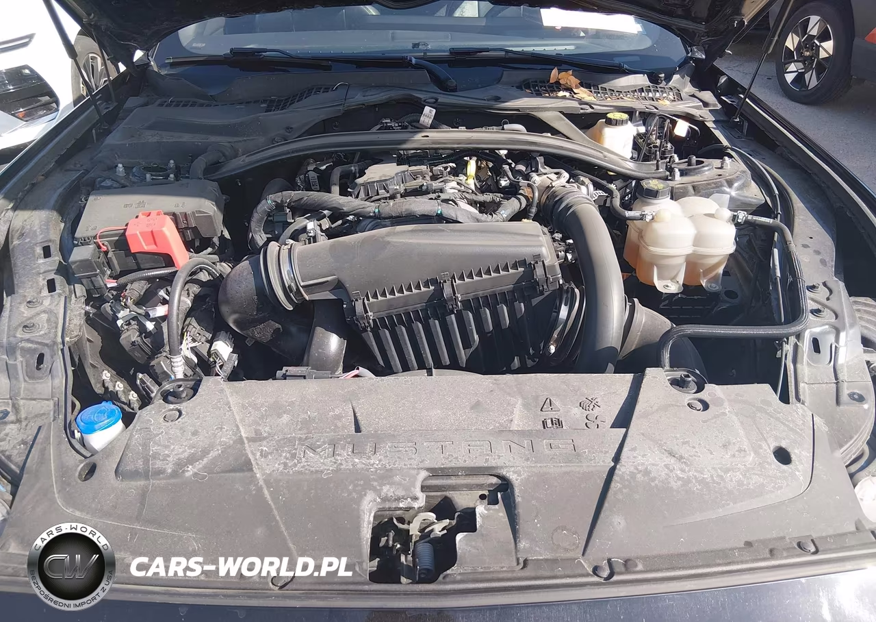 2025 Ford Mustang Ecoboost -Ecoboost Premium VIN:1FAGP8UH7S5105896 - 10