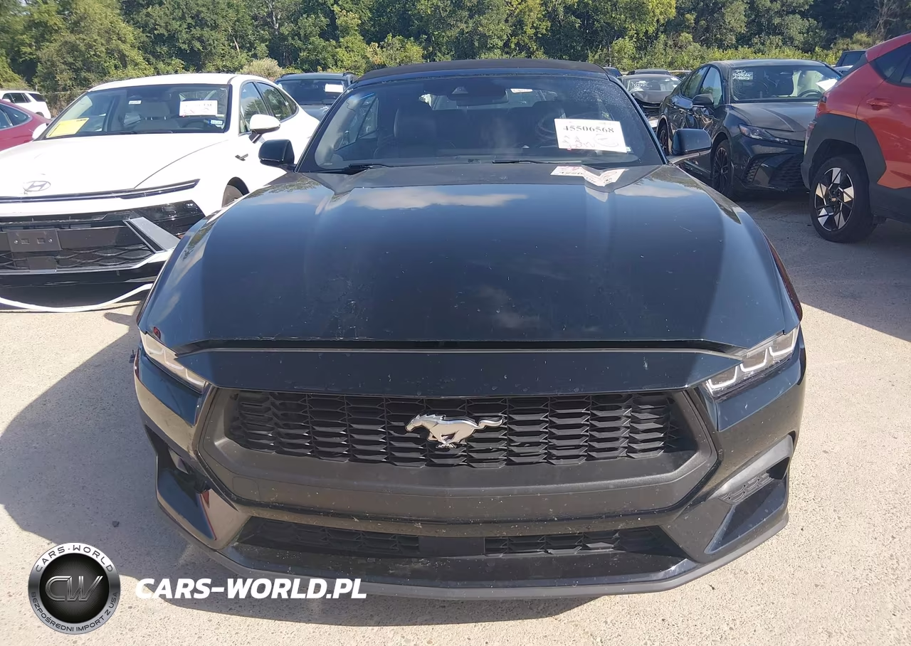 2025 Ford Mustang Ecoboost -Ecoboost Premium VIN:1FAGP8UH7S5105896 - 13