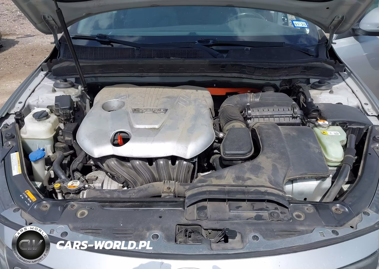 2015 Kia Optima Hybrid VIN:KNAGM4AD6F5085804 - 10