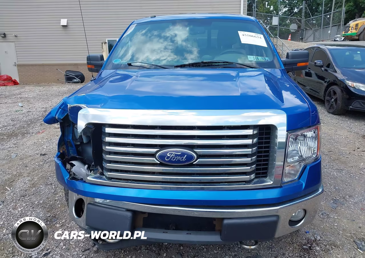 2010 Ford F-150 Fx4-Lariat-Xl-Xlt VIN:1FTFW1EV3AFC34473 - 12
