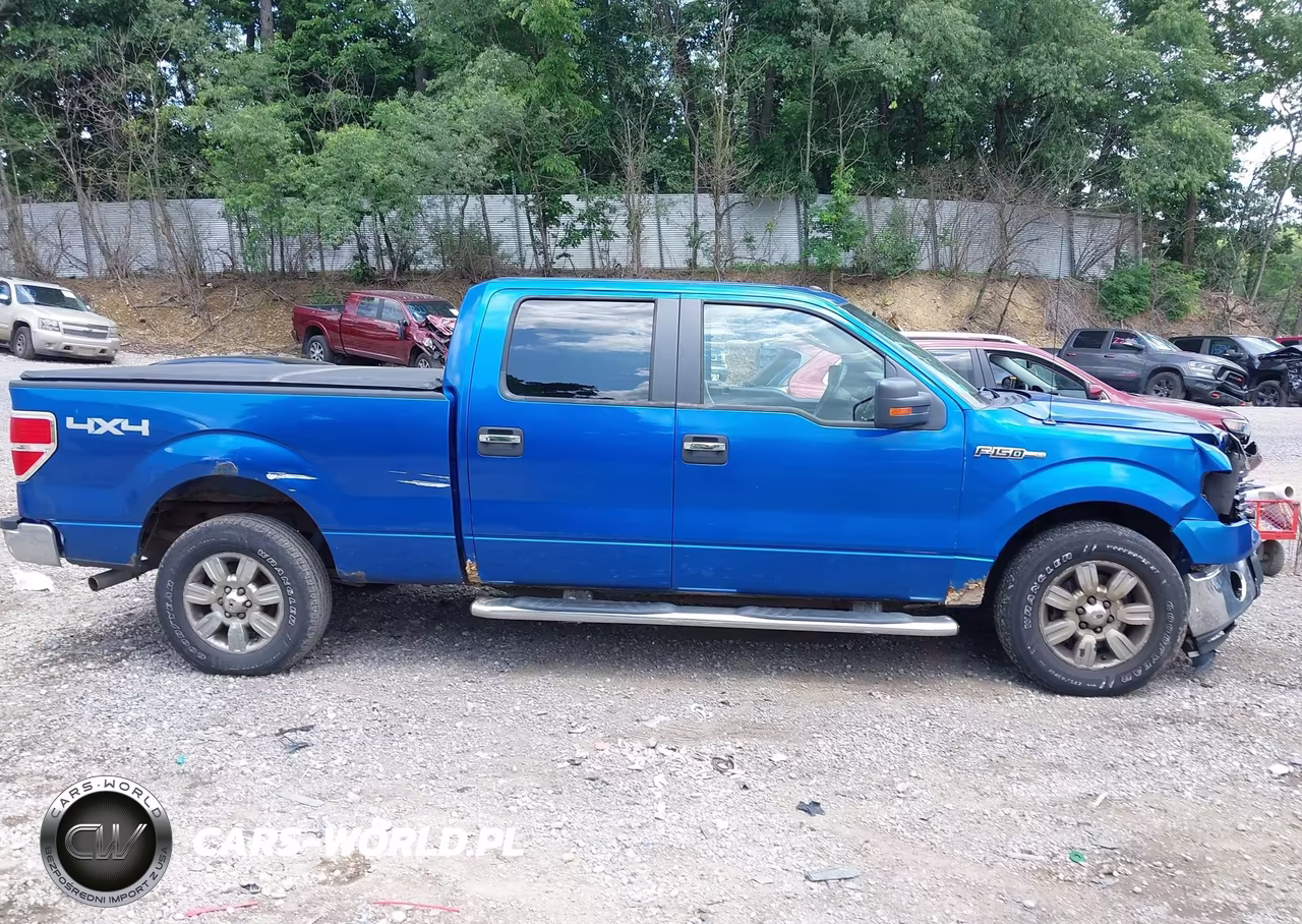 2010 Ford F-150 Fx4-Lariat-Xl-Xlt VIN:1FTFW1EV3AFC34473 - 13