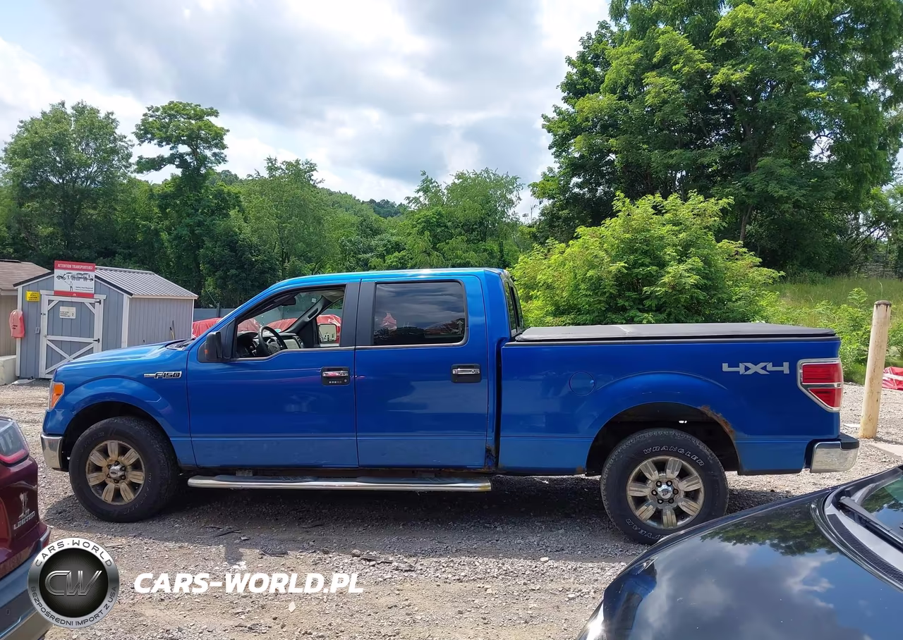 2010 Ford F-150 Fx4-Lariat-Xl-Xlt VIN:1FTFW1EV3AFC34473 - 14
