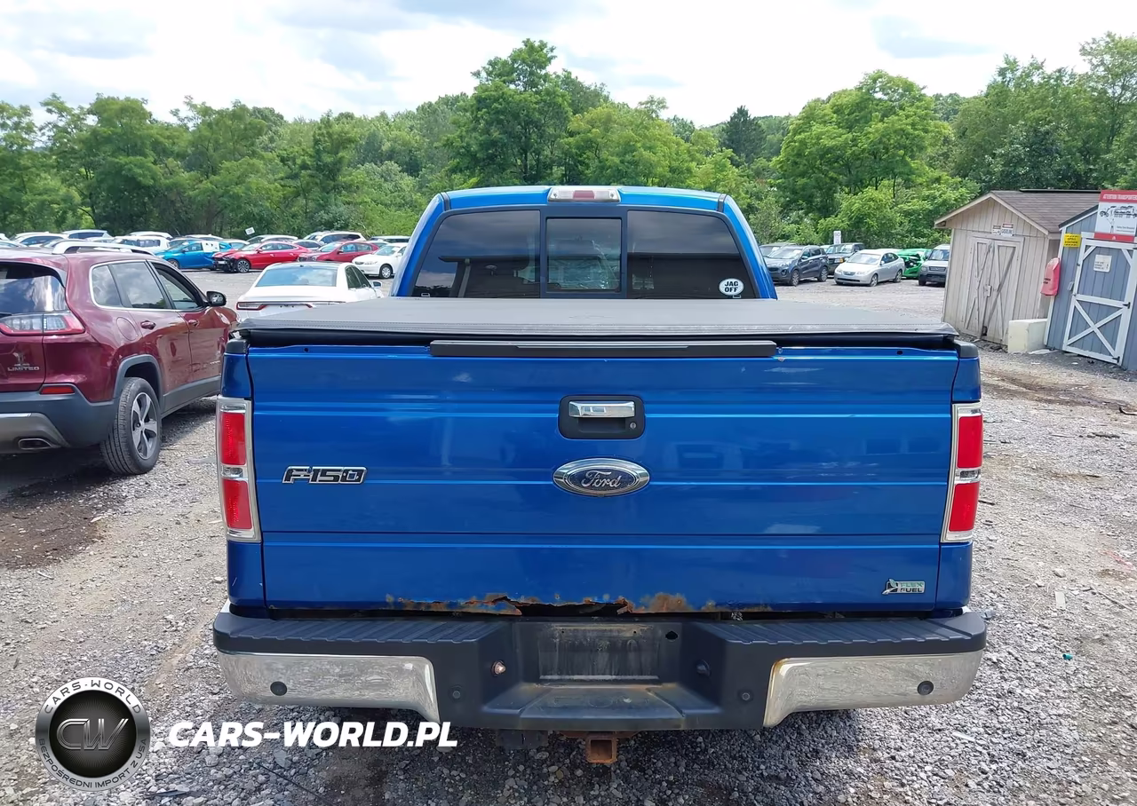 2010 Ford F-150 Fx4-Lariat-Xl-Xlt VIN:1FTFW1EV3AFC34473 - 16