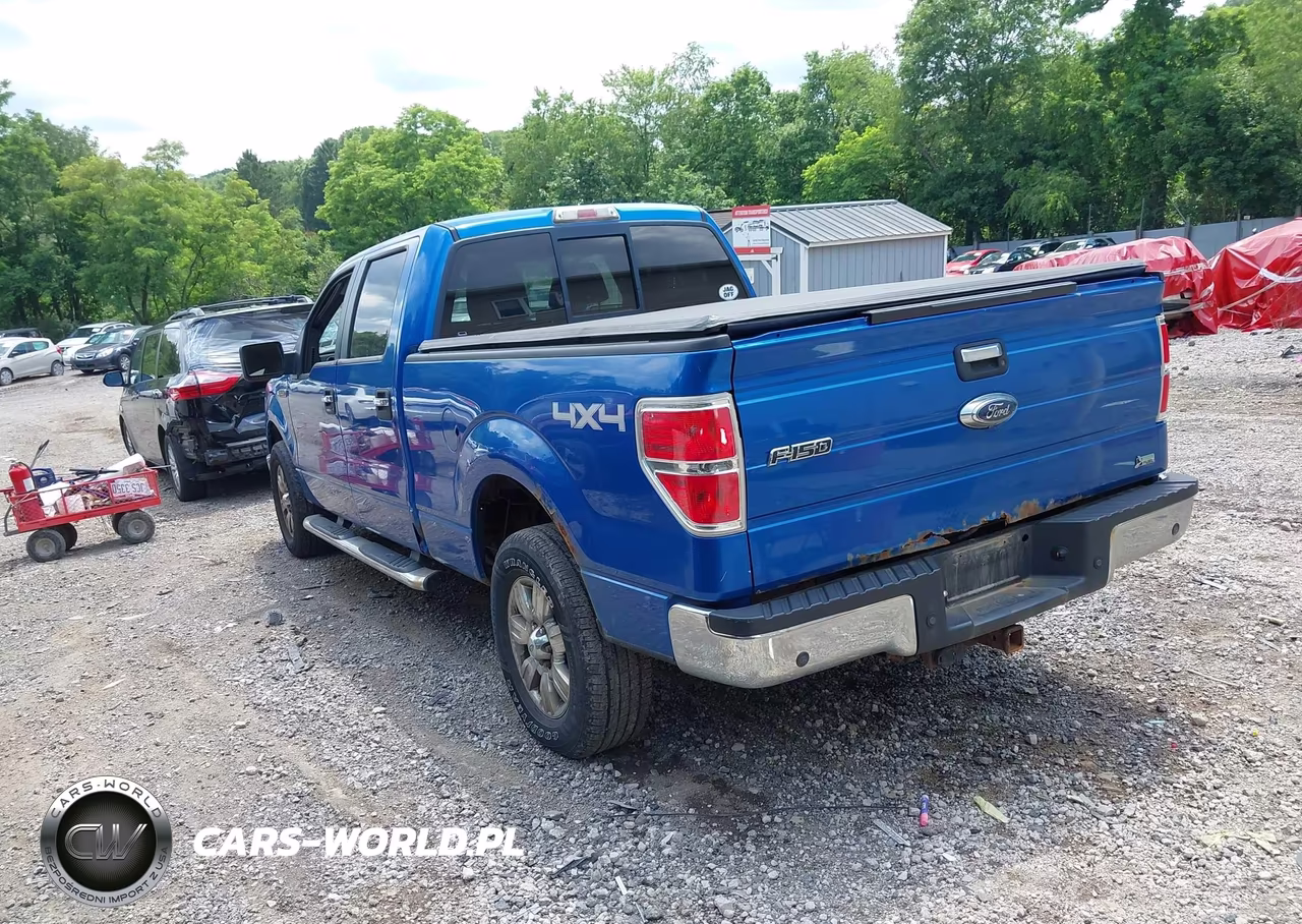 2010 Ford F-150 Fx4-Lariat-Xl-Xlt VIN:1FTFW1EV3AFC34473 - 3